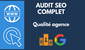 audit seo